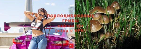 дживик Великий Новгород