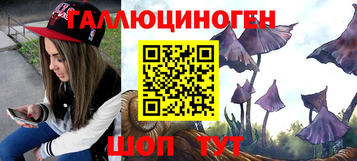 Галлюциногенные грибы Psilocybine cubensis Евпатория