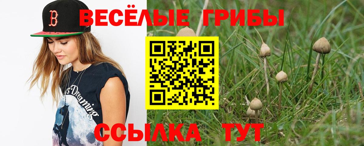 Меф МЯУ МЯУ кристаллы  LSD-25  Экстази  Евпатория  ГАШ  Вход с VPN  Канабис  АМФ кристаллы 