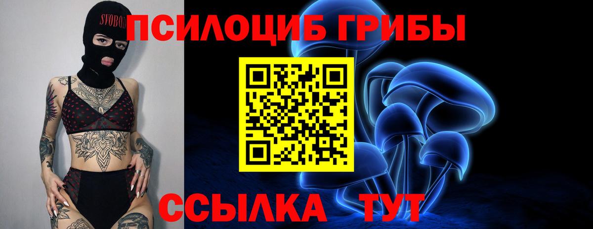 Псилоцибиновые грибы прущие грибы  Псилоцибиновые грибы MAGIC MUSHROOMS  Евпатория  Вход с VPN 